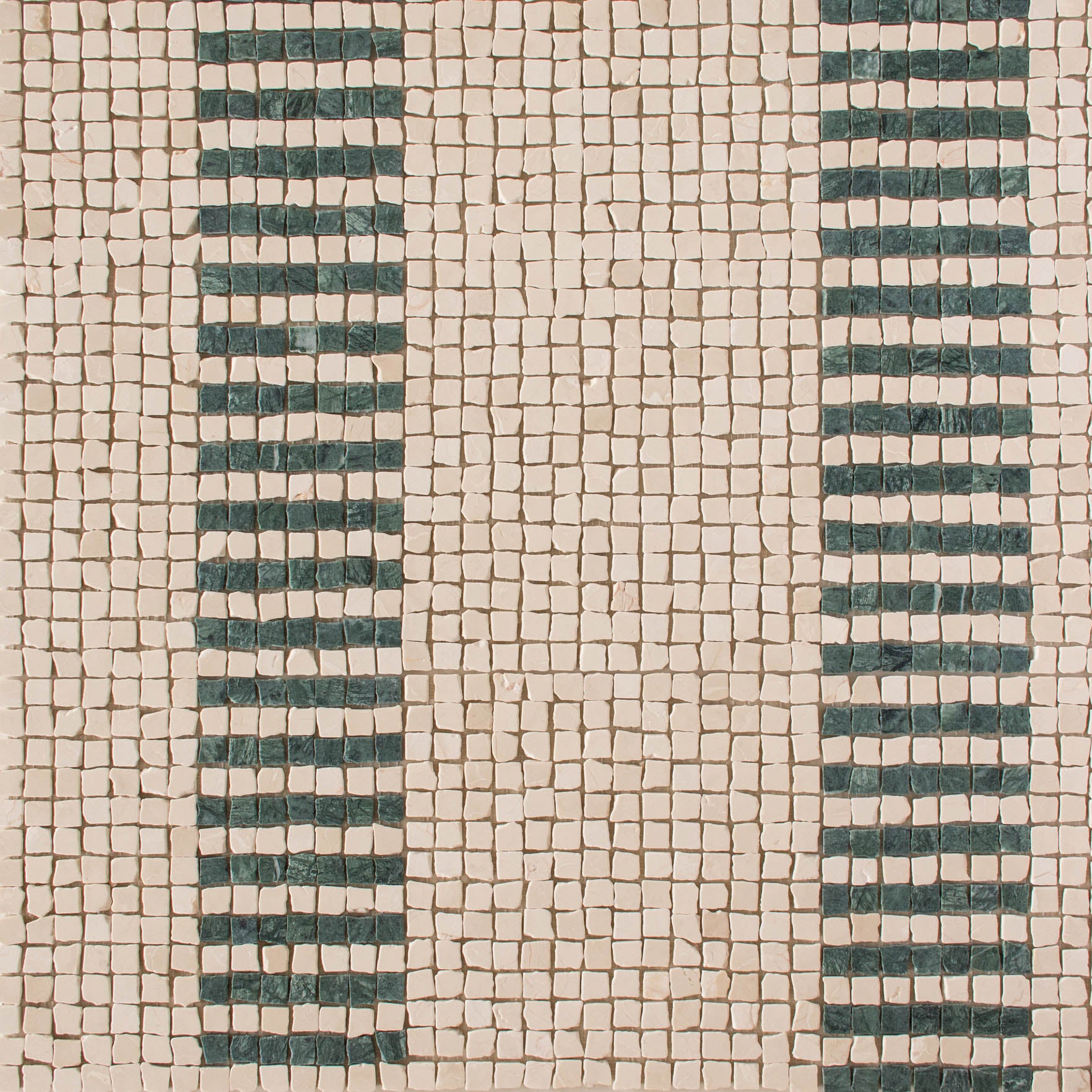 EZPD0002 Selva