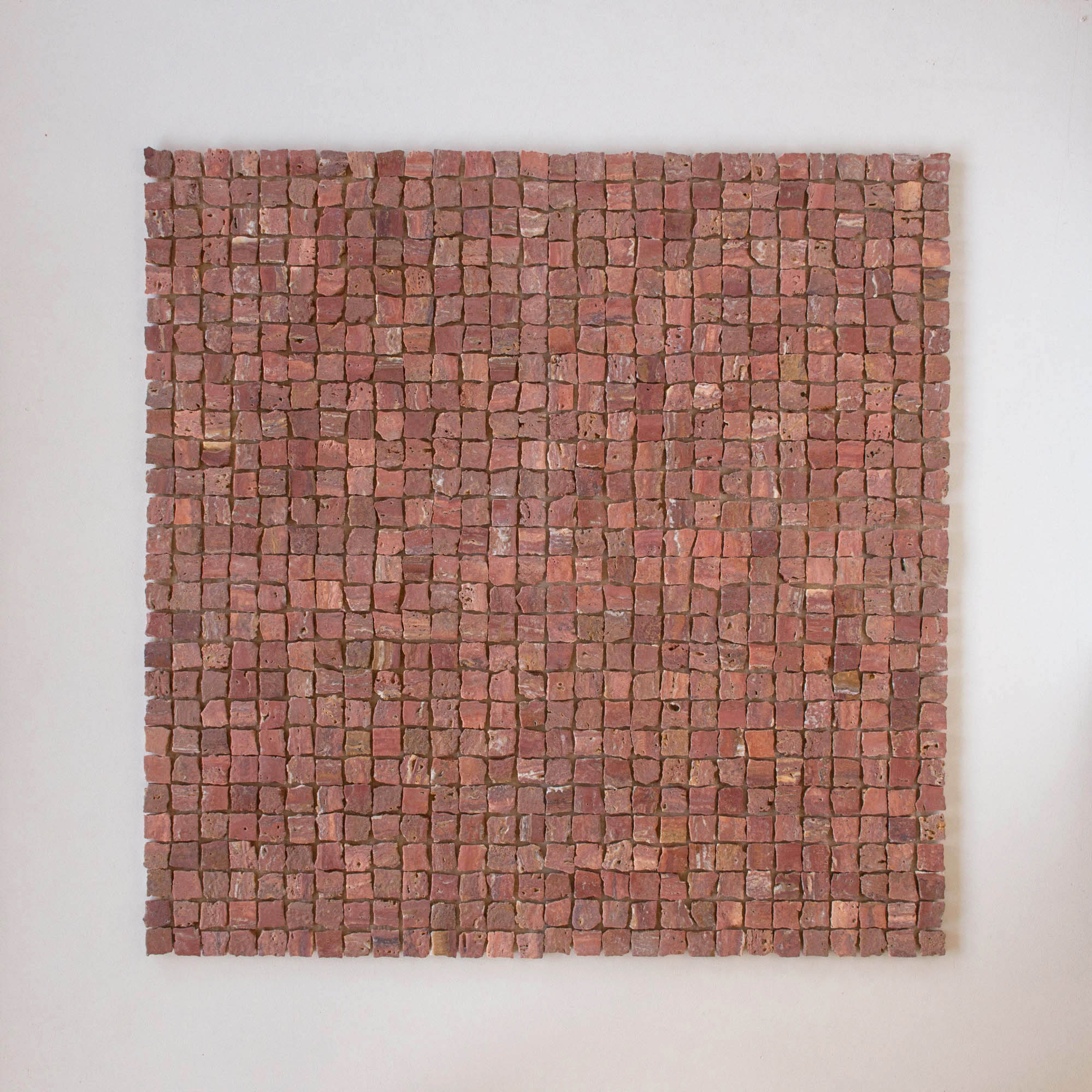 EZPD0001 Coral