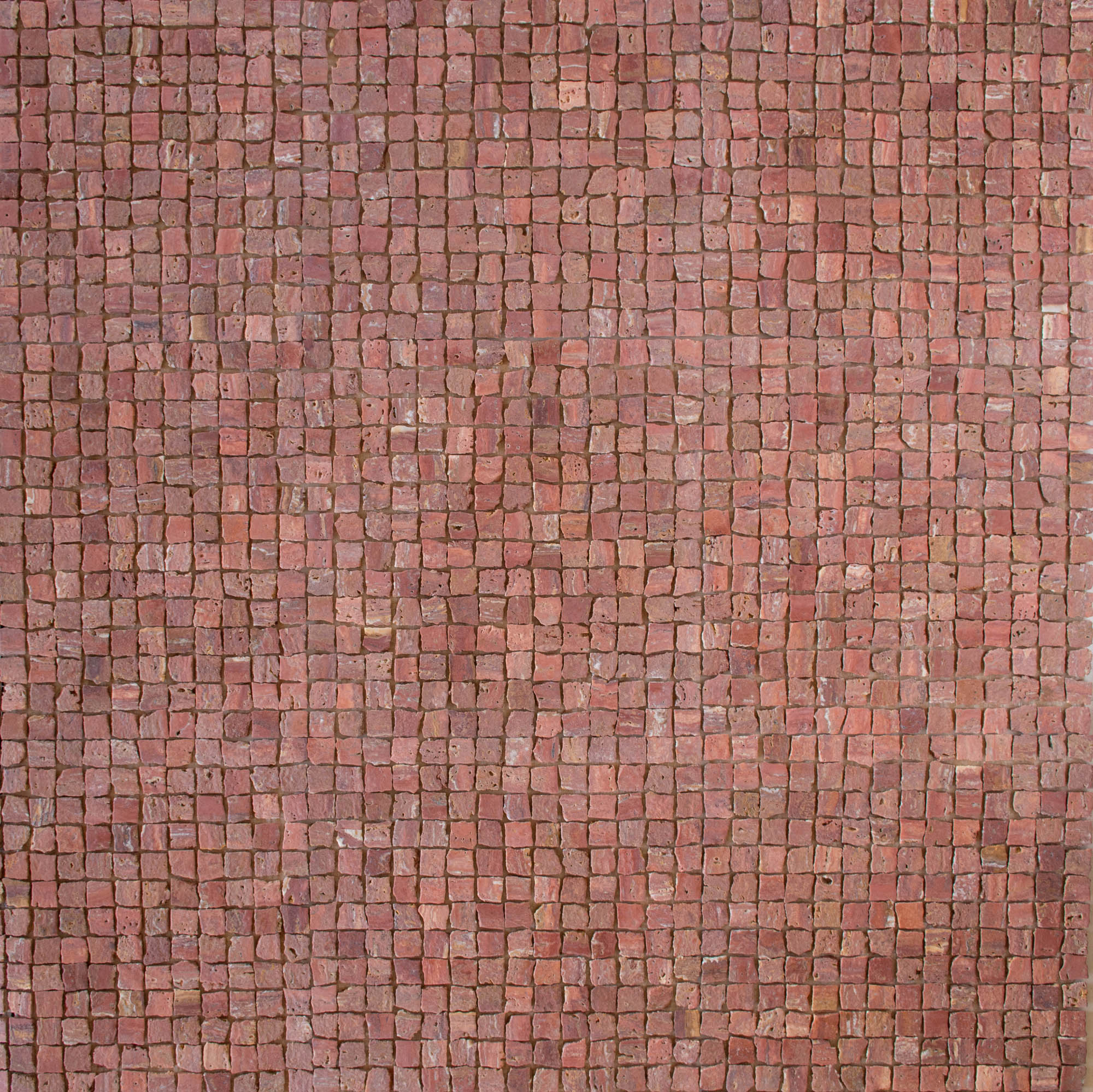 EZPD0001 Coral
