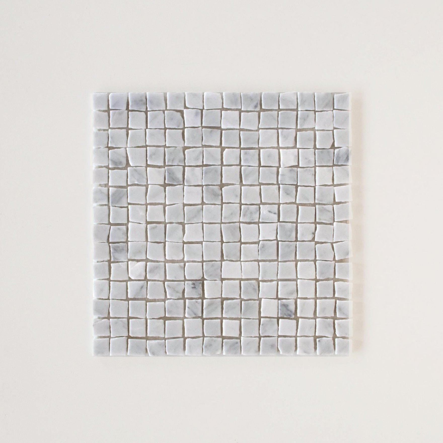 EZPD0001 Seashell Sample