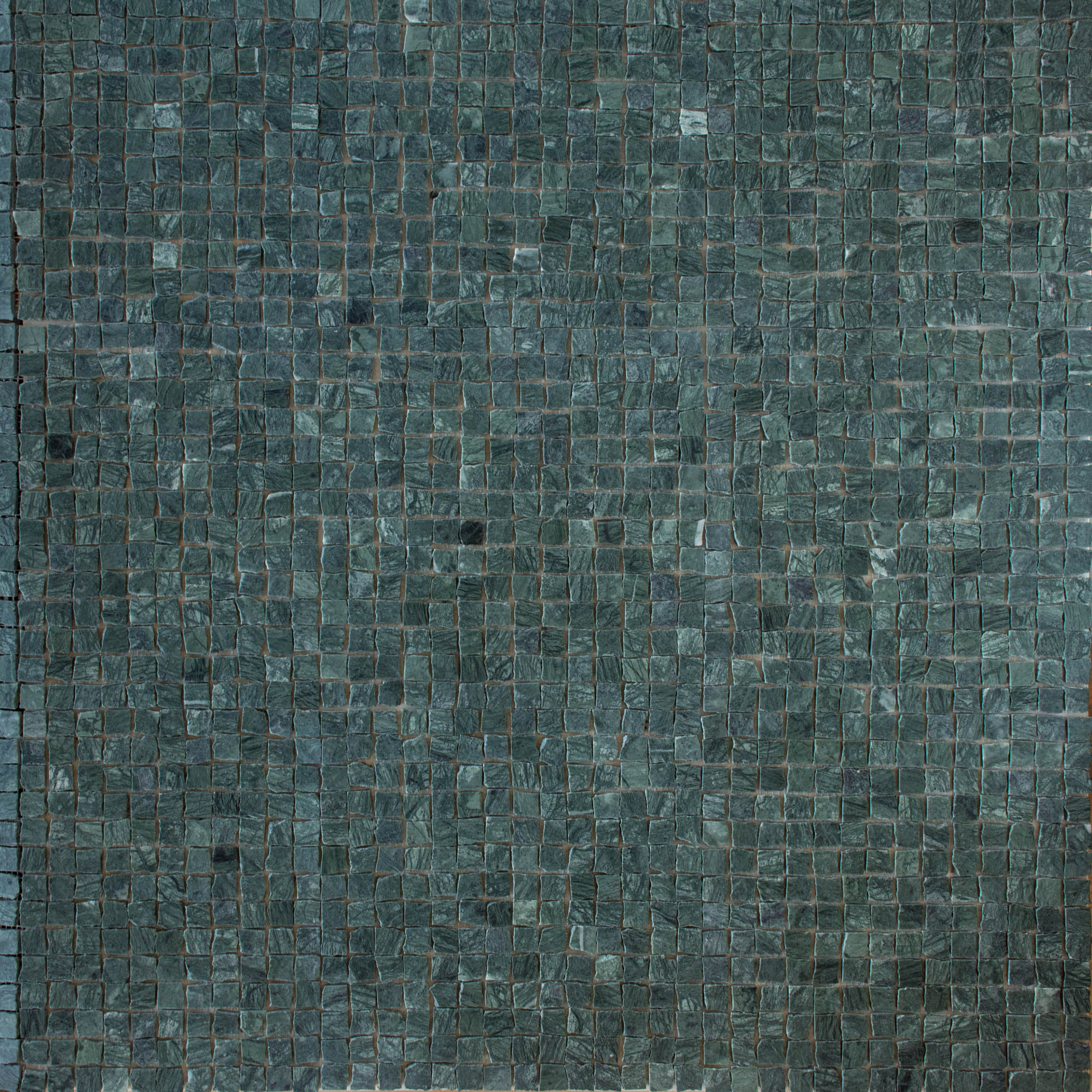 EZPD0001 Seaweed Sample