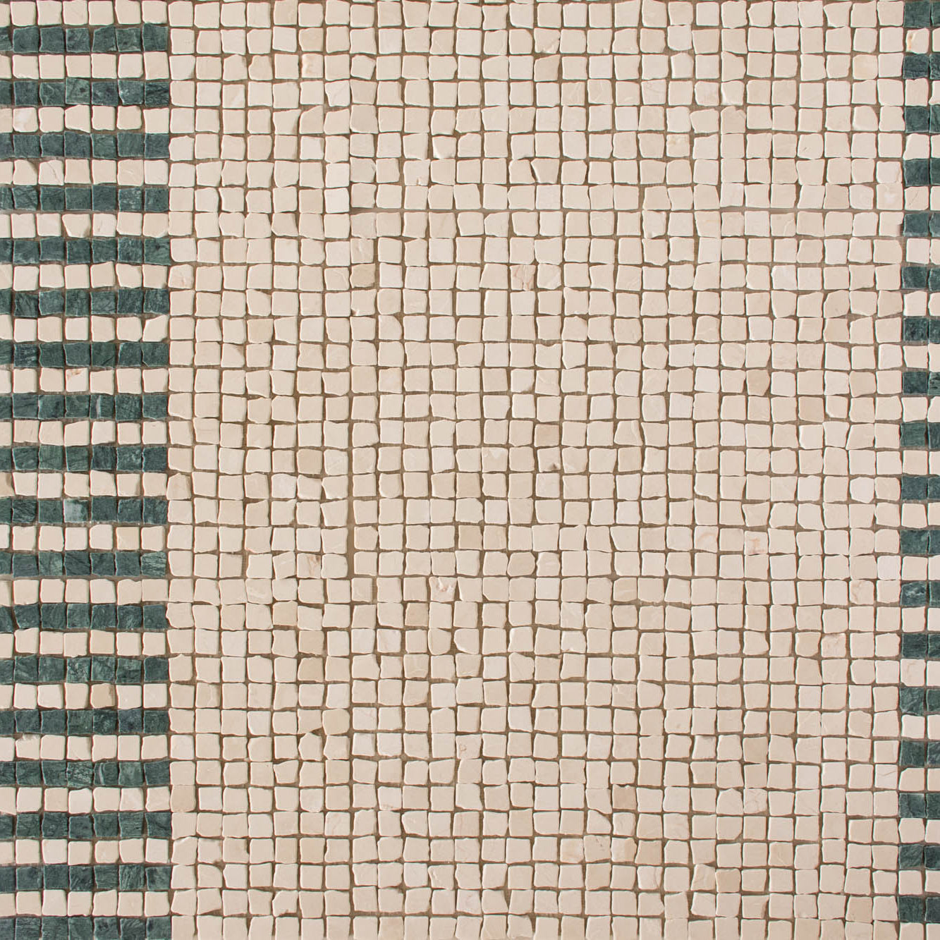 EZPD0002 Selva