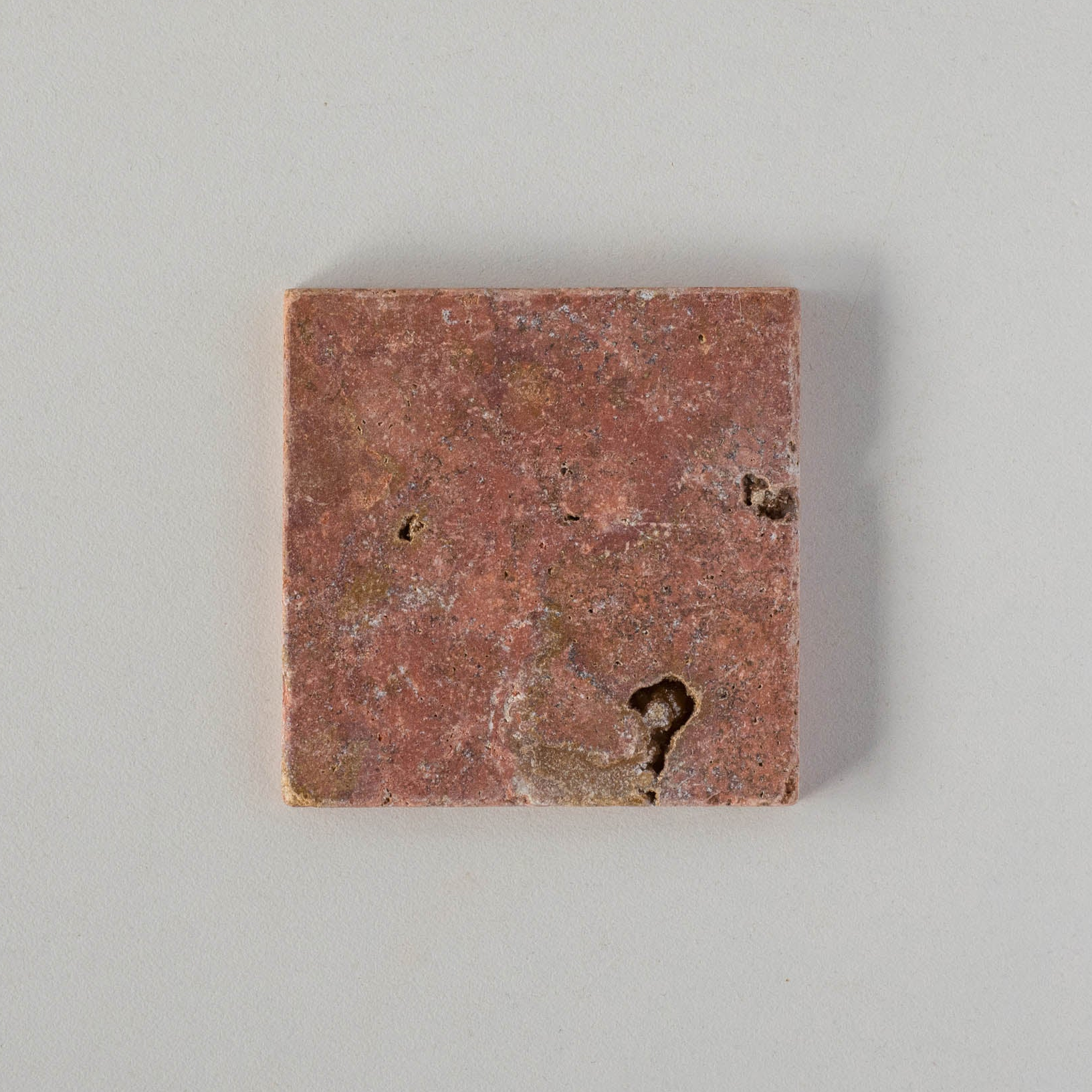 EZPD1010 Coral Sample