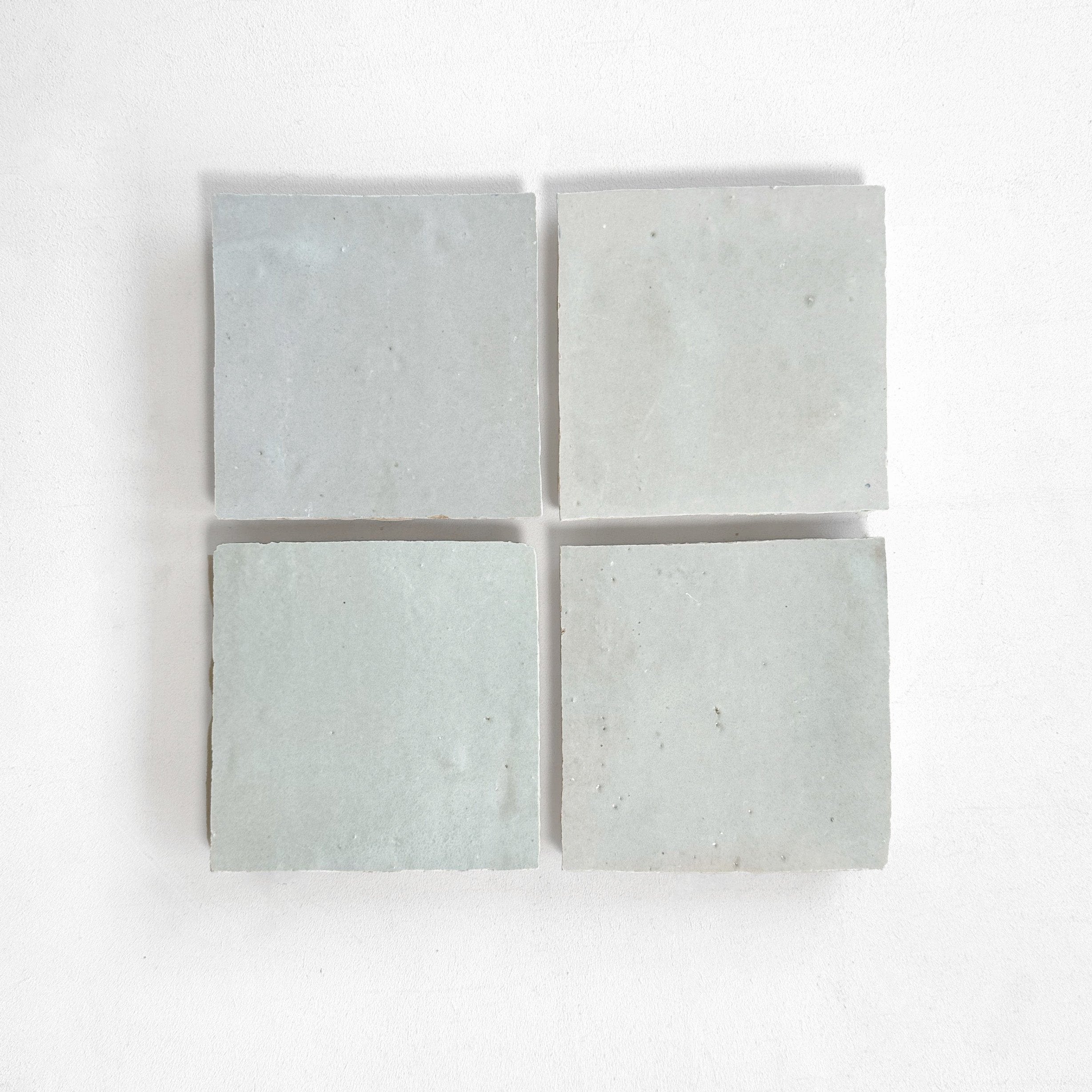 EZR1010 Mint Sample
