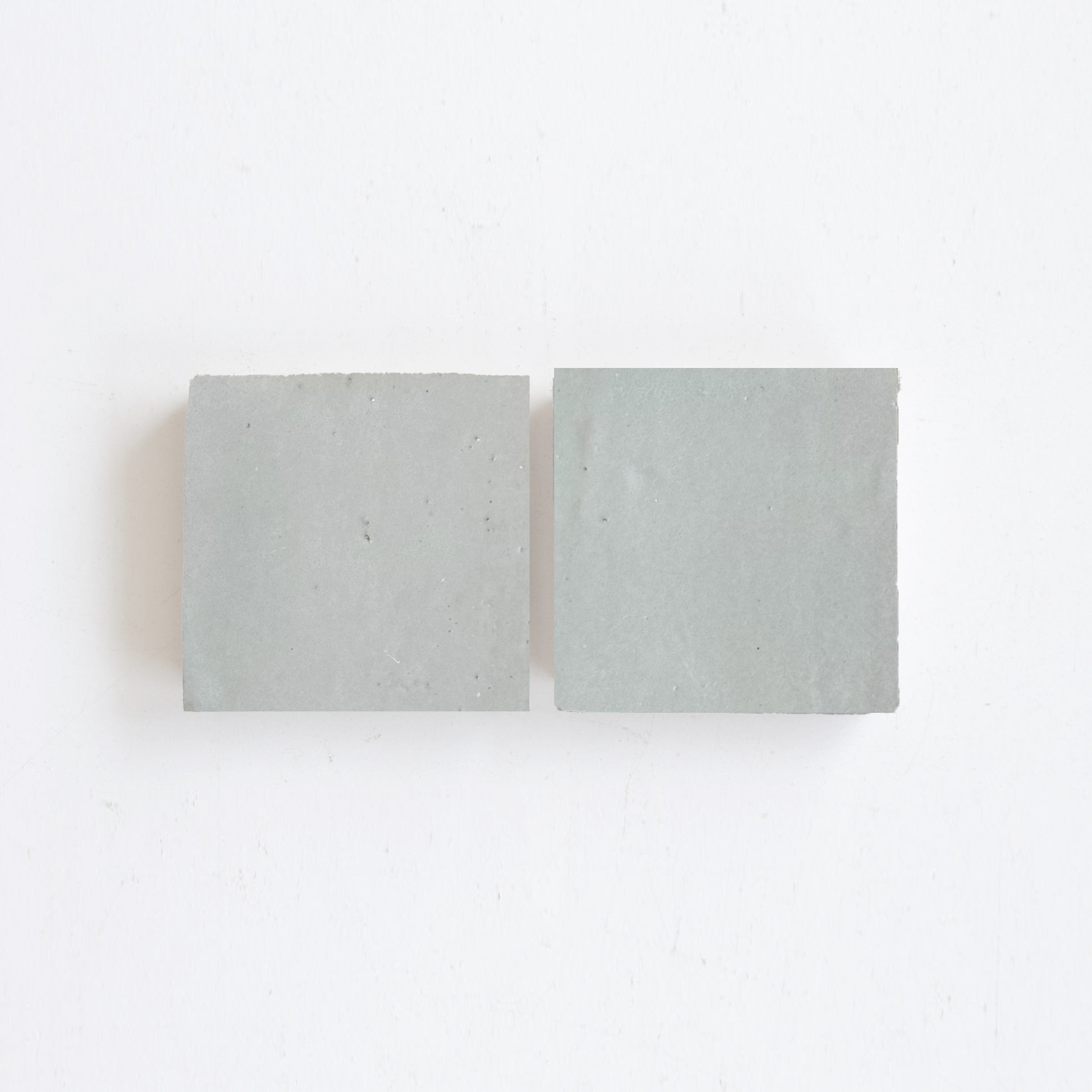 EZR1010 Mint Sample