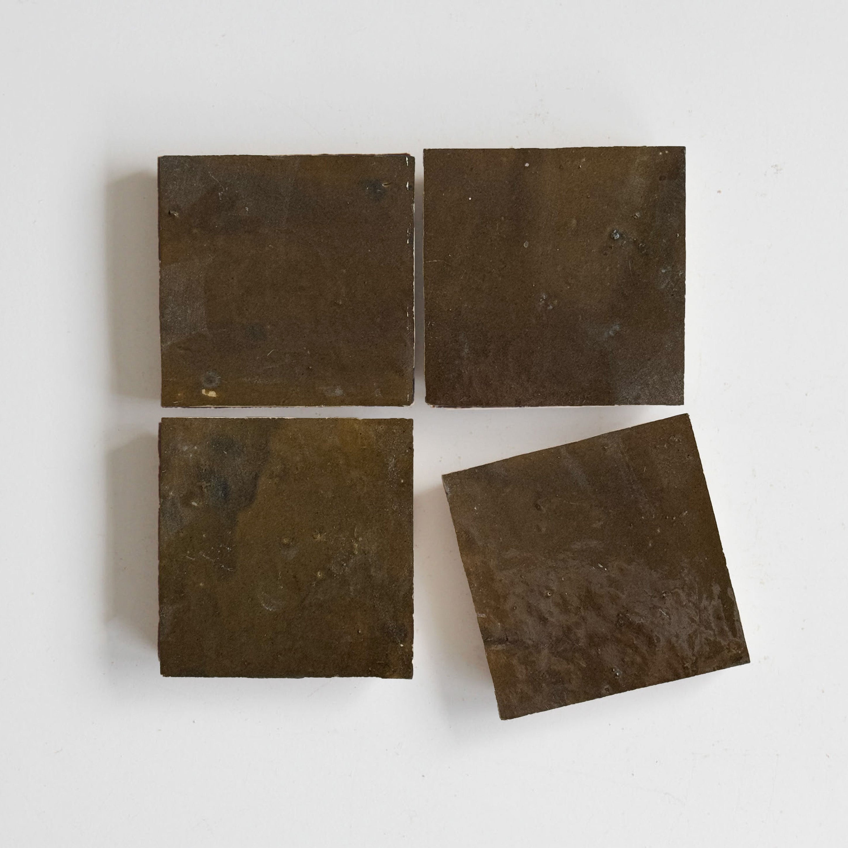 EZR1010 Shiitake