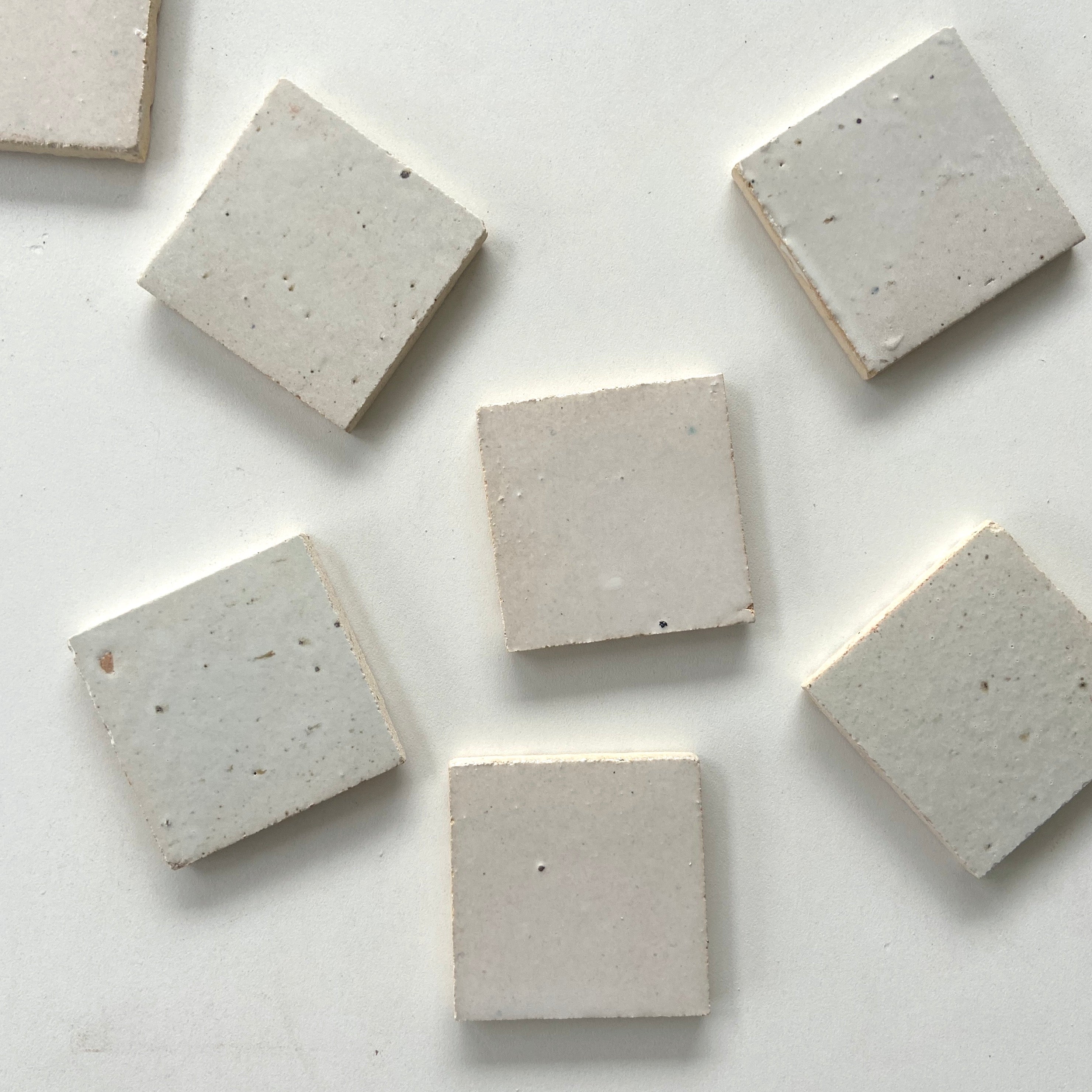 EZTIER1010 Nieve Sample