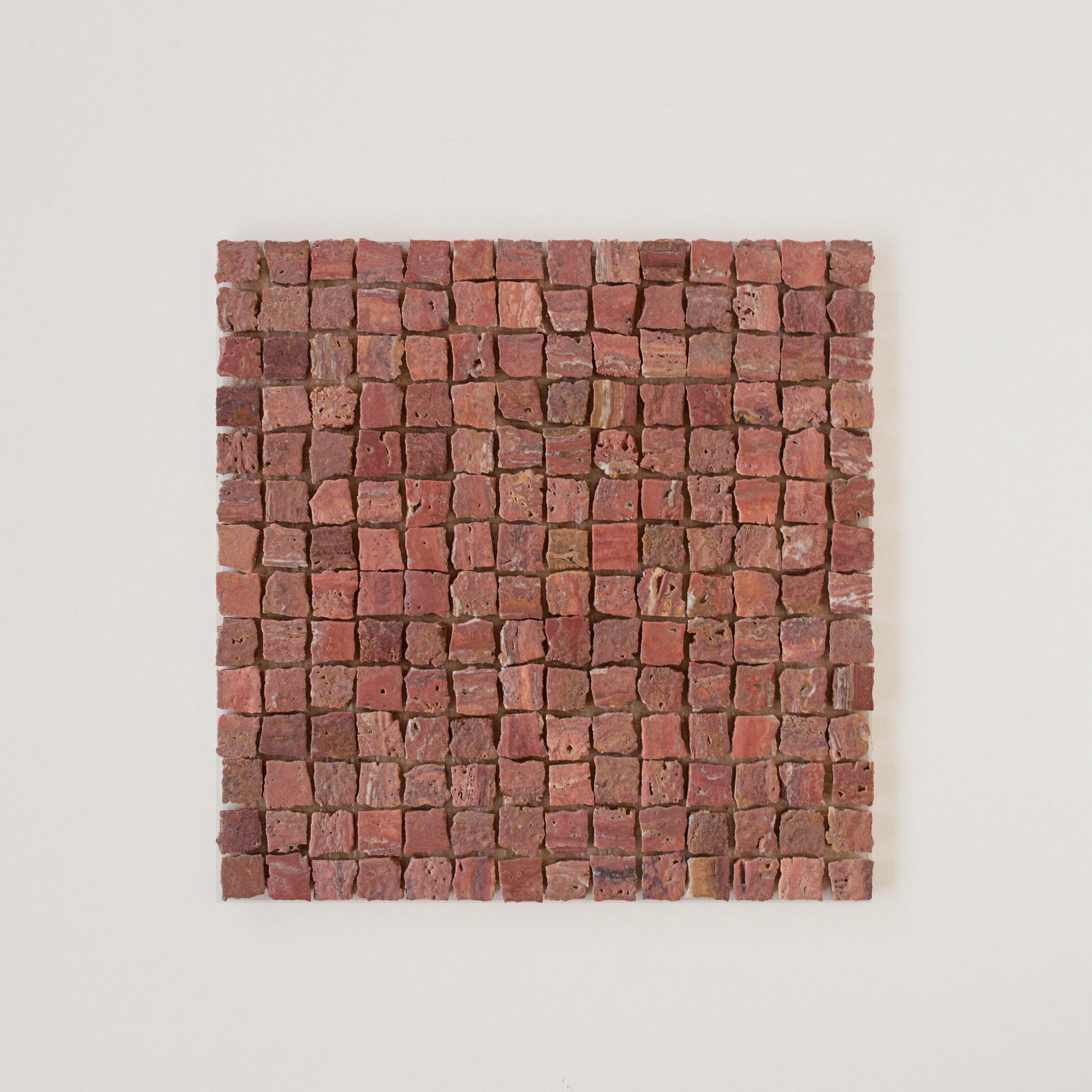 EZPD0001 Coral