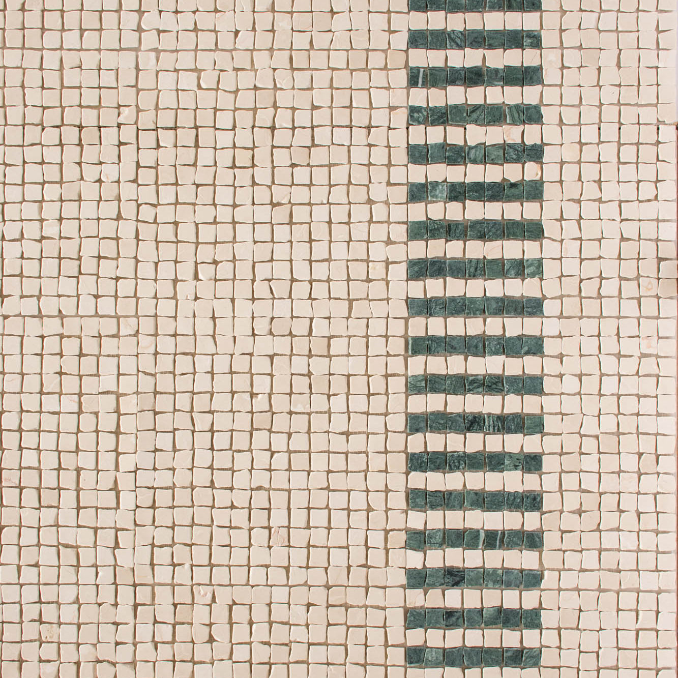 EZPD0002 Selva