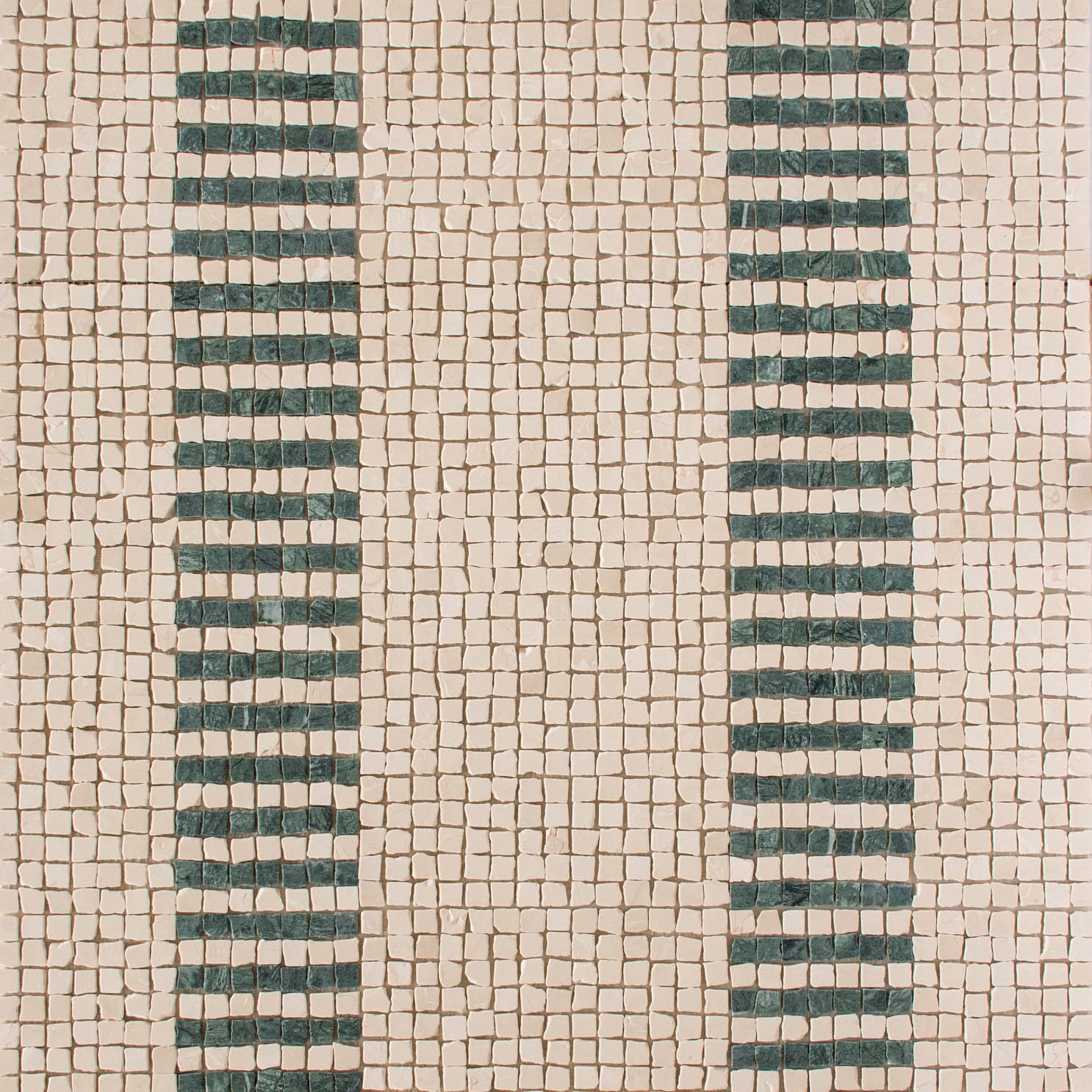 EZPD0002 Selva