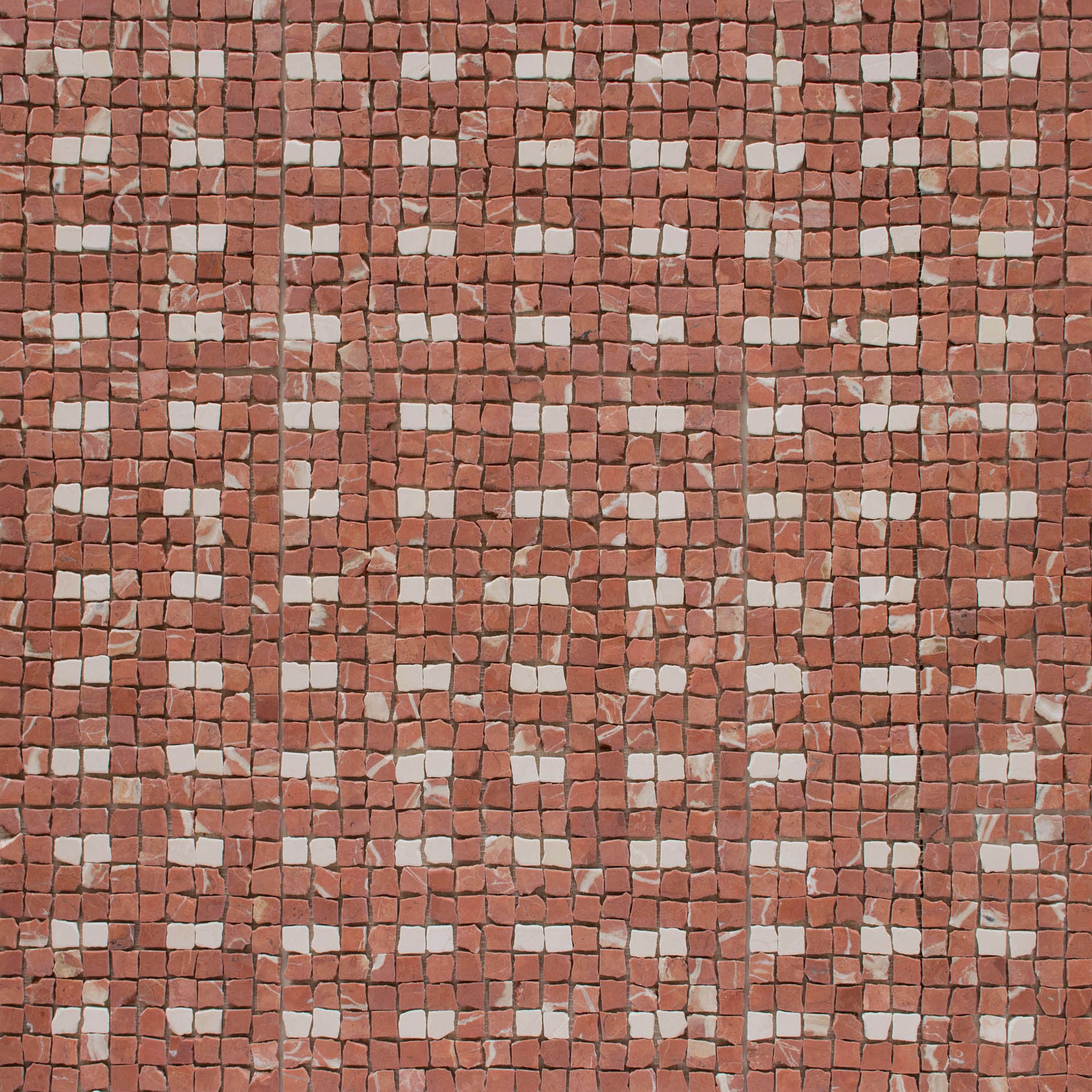 EZPD0010 Arena