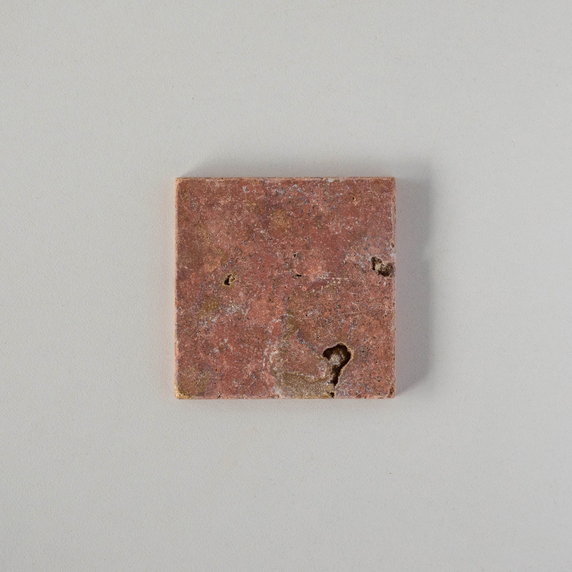 EZPD1010 Coral