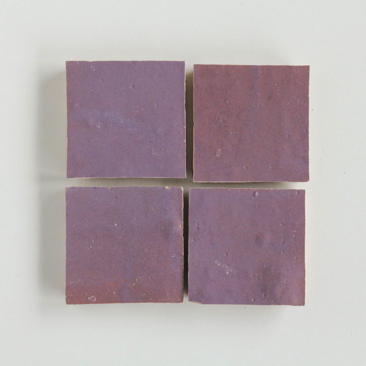EZR1010 Eggplant Sample