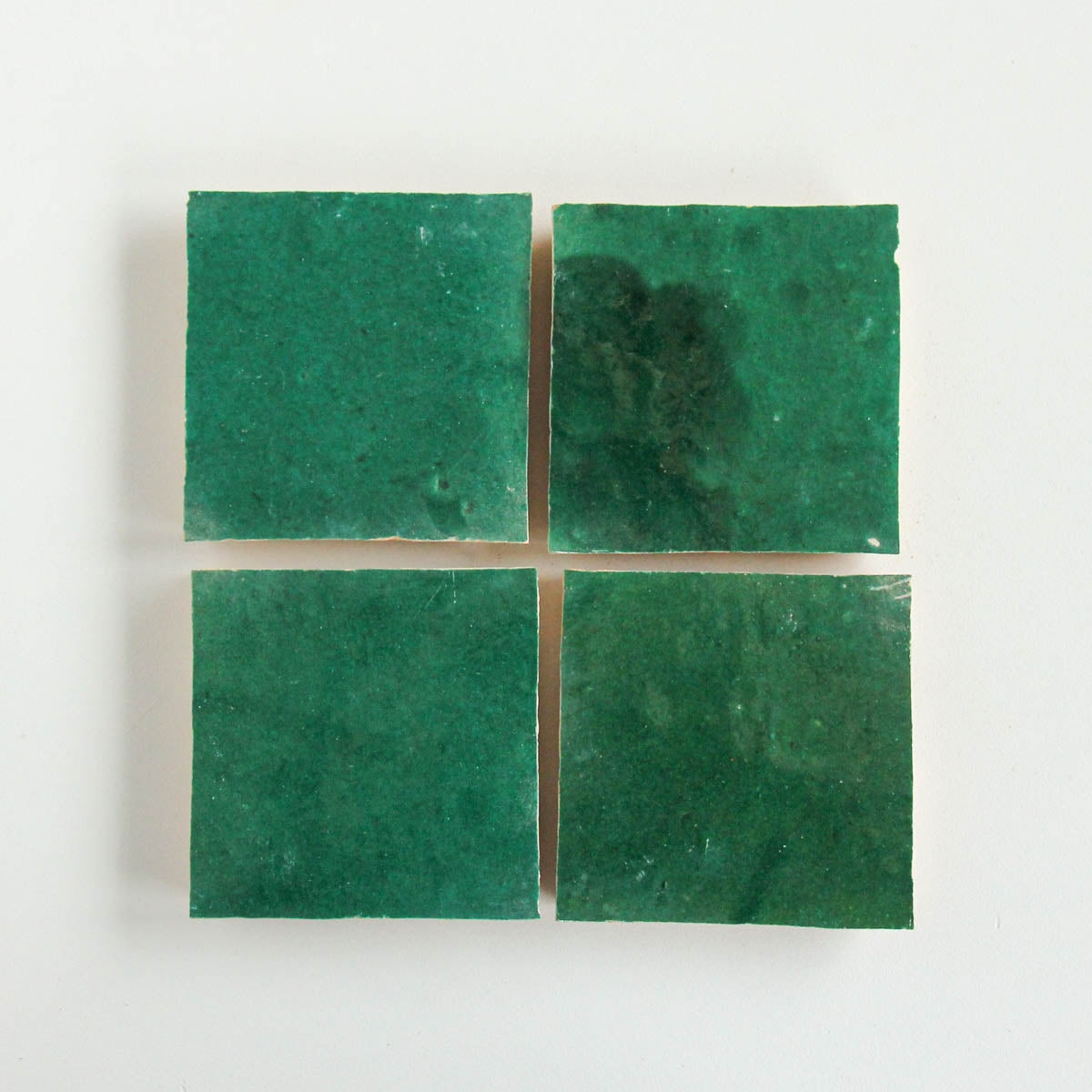 EZR1010 Forest Sample