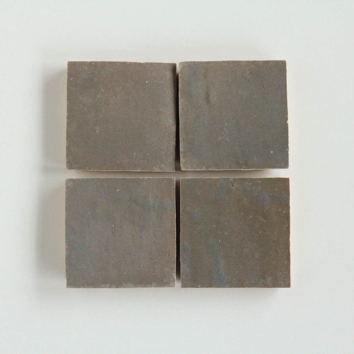 EZR1010 Mushroom Sample