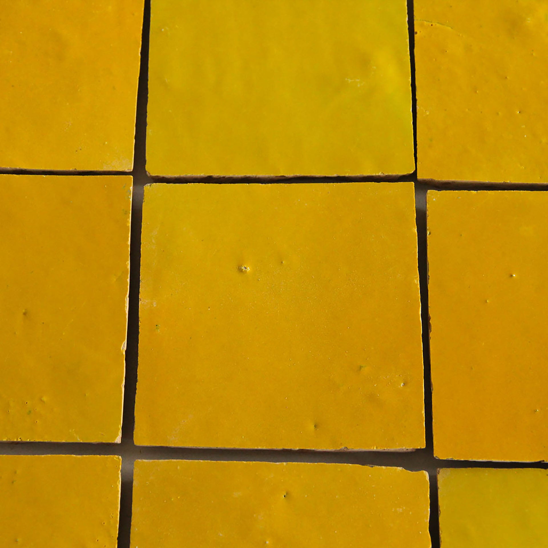 EZR1010 Mustard